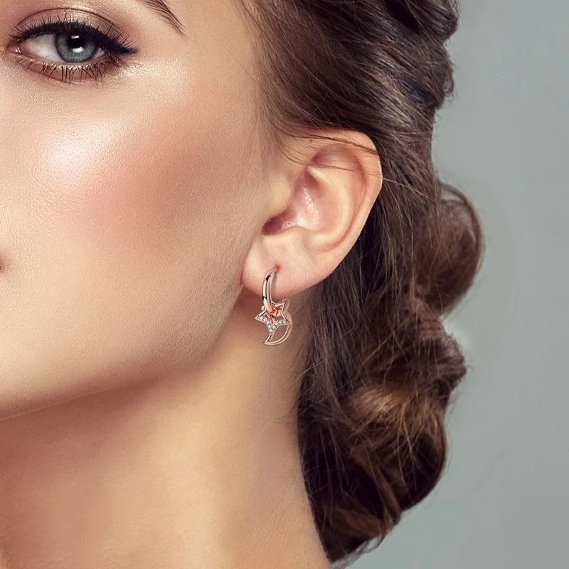 925 Sterling Silver Geometric Rose Gold Series Drop Earrings for Woman